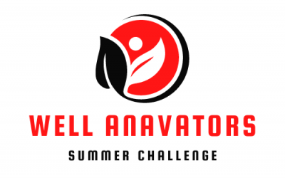 Well AnaVators – Summer Challenge